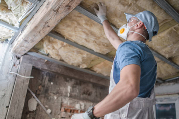 Best Energy Efficiency Insulation in Mount Clemens, MI