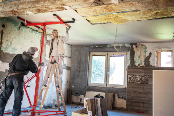 Best Geographic-Specific Insulation Services in Mount Clemens, MI