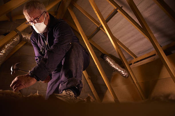 Trusted Mount Clemens, MI Insulation Contractor Experts